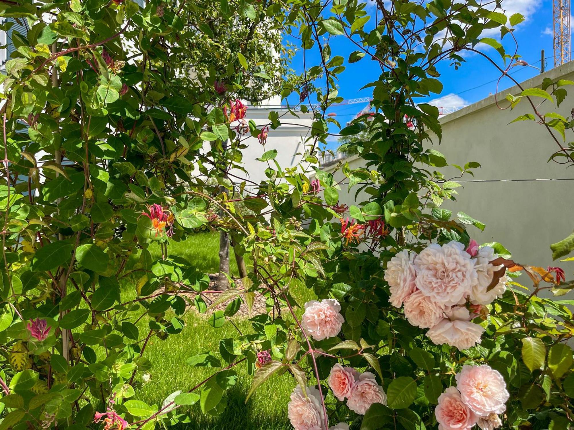 Enjoyable Apartment Disneyland - Rentaway Bnb Serris Zewnętrze zdjęcie